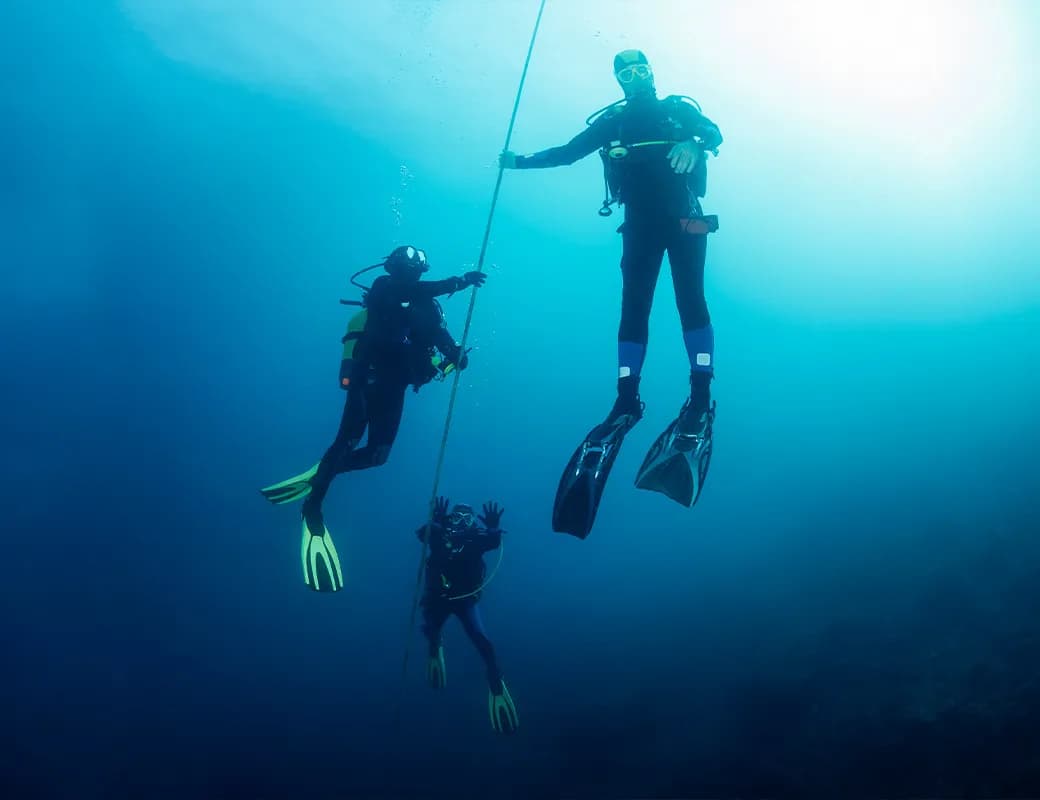 Find Your Perfect Dive: Exploring Different Diving Types 