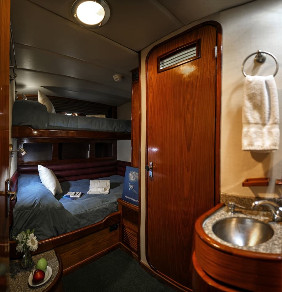 Superior Stateroom Lower Deck