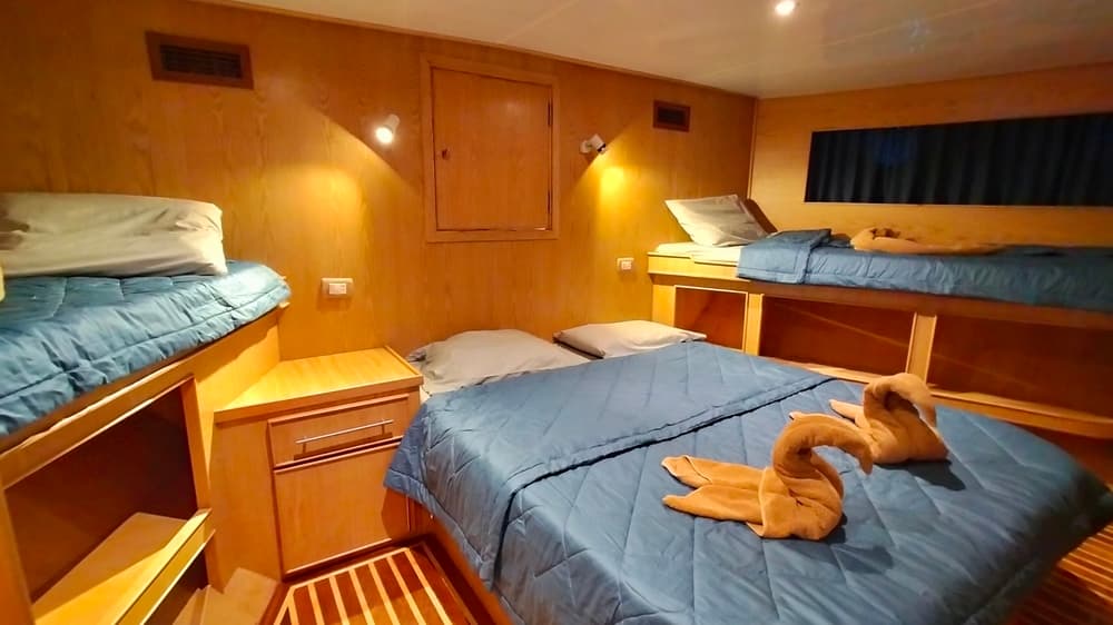 Double Bed/Triple Lower Cabin