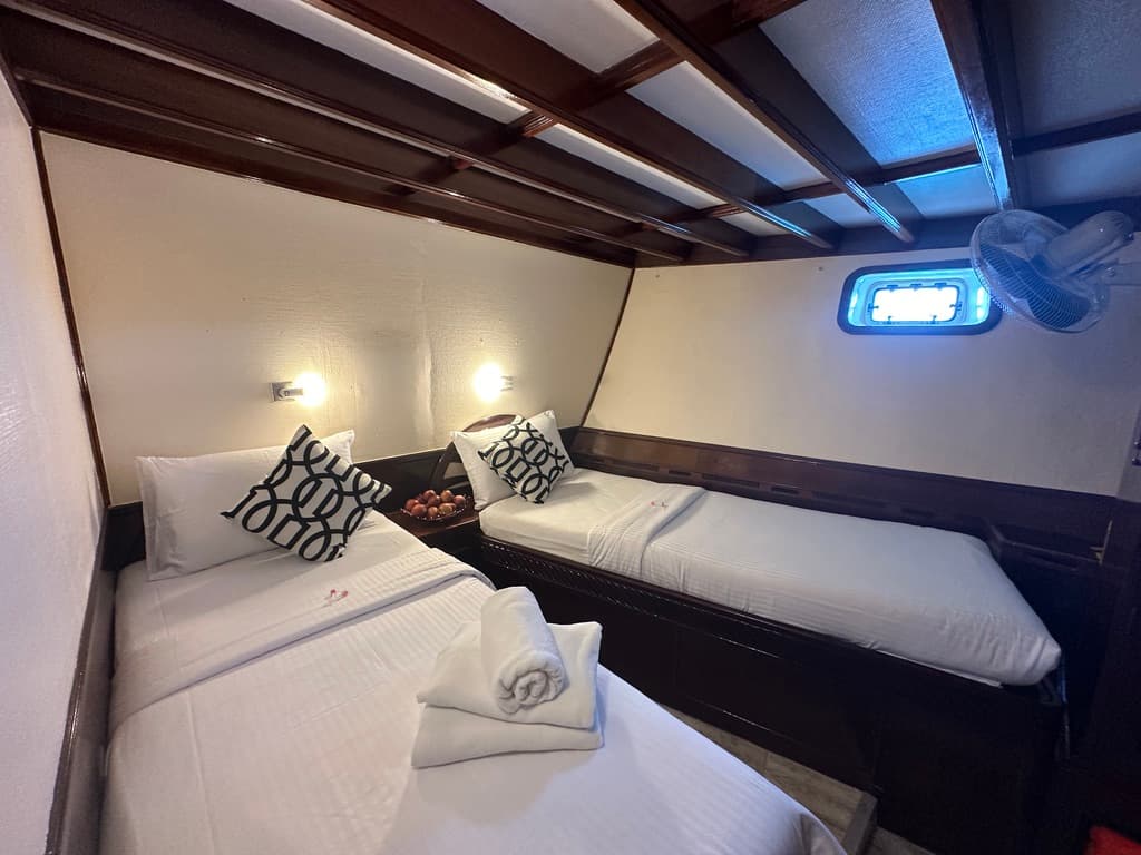 Standard (2 Single Beds) Lower Deck