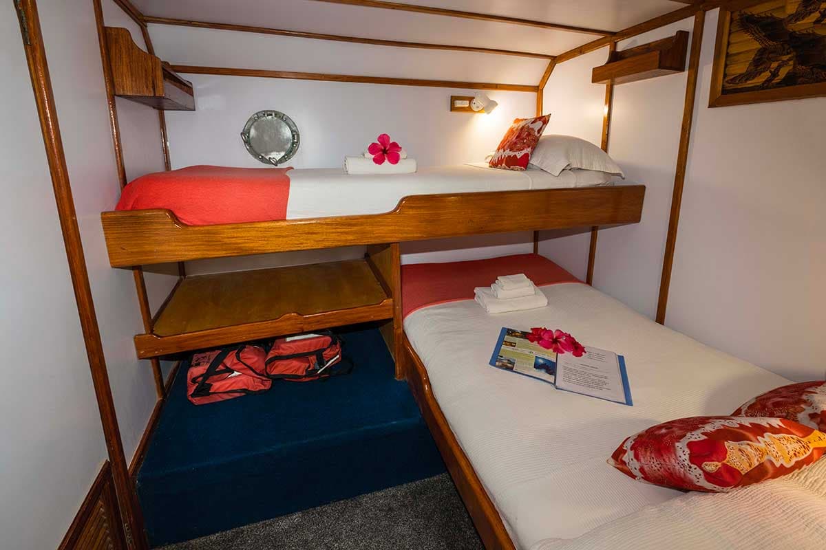 1 Twin/Double Cabin 4 - MV FeBrina