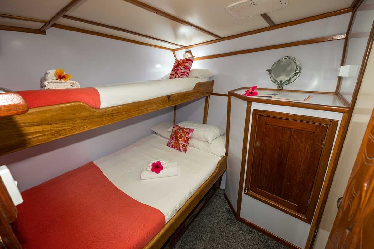 Large Single Cabin 5 - MV FeBrina