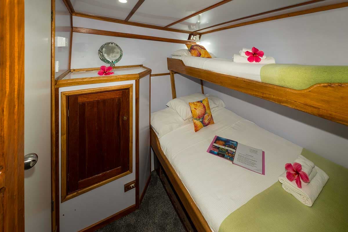 2 Large Single/Twin Share Cabin 6 - MV FeBrina