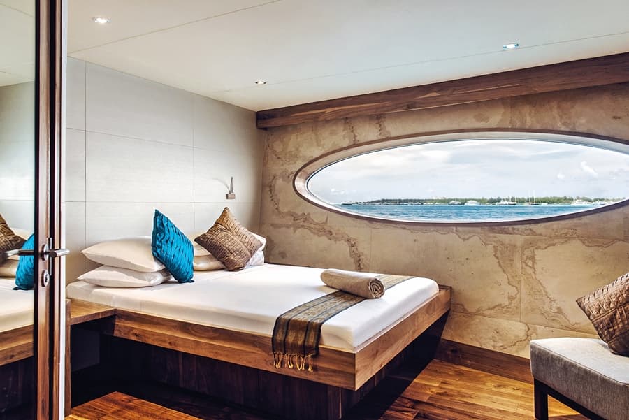 Dolphin Suite