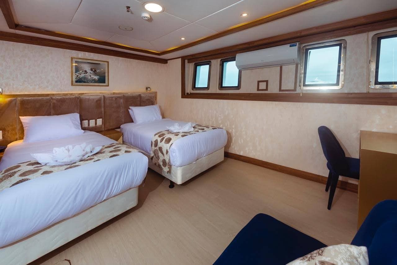 Stateroom Lower Deck